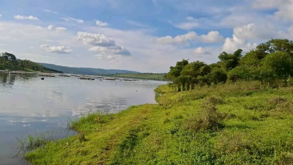 Step-by-Step Guide to Buying Land Safely in Rwanda