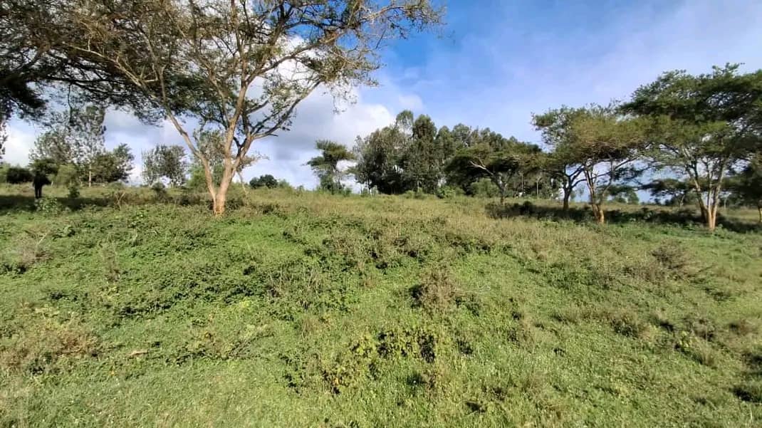 Land for Sale on Lake Muhazi, Rwamagana, Kigali - Rwanda - Image 2