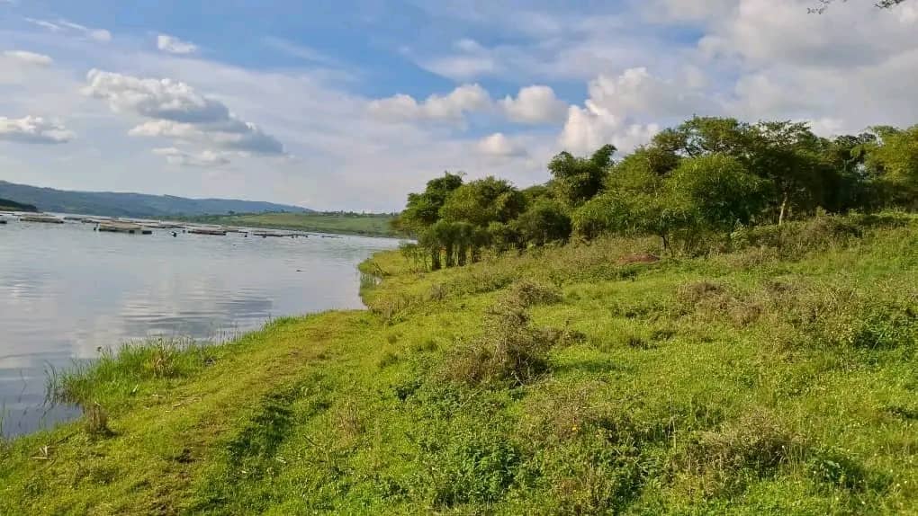 Land for Sale on Lake Muhazi, Rwamagana, Kigali - Rwanda - Image 7