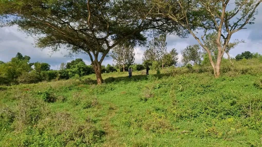 Land for Sale on Lake Muhazi, Rwamagana, Kigali - Rwanda - Image 4