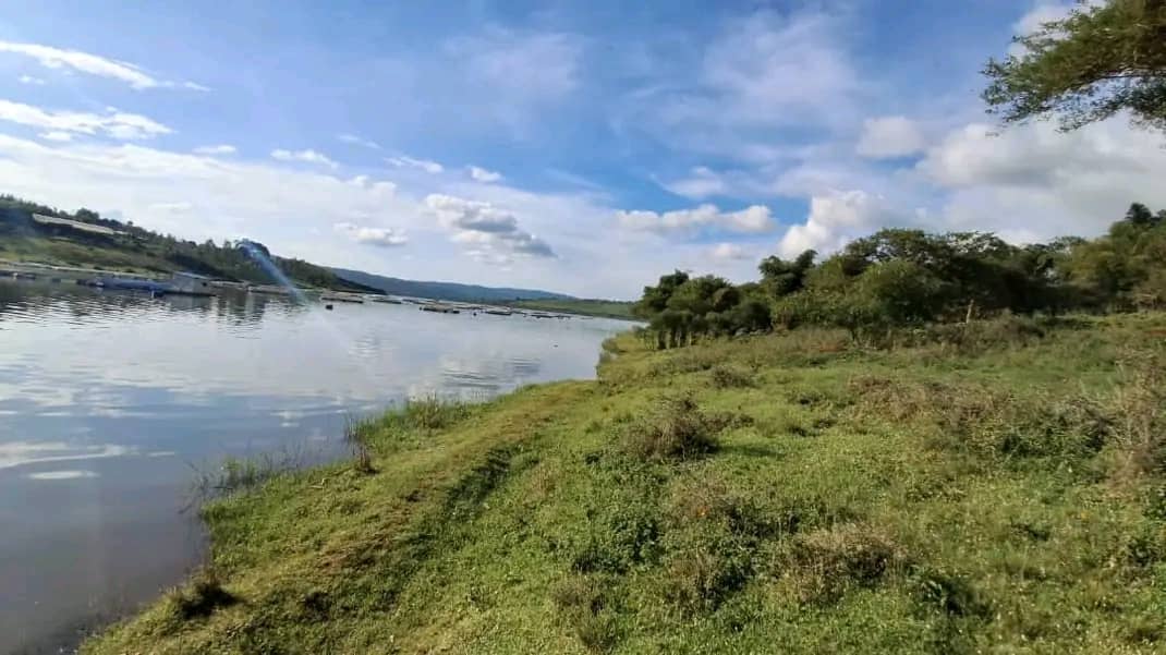 Land for Sale on Lake Muhazi, Rwamagana, Kigali - Rwanda - Image 6