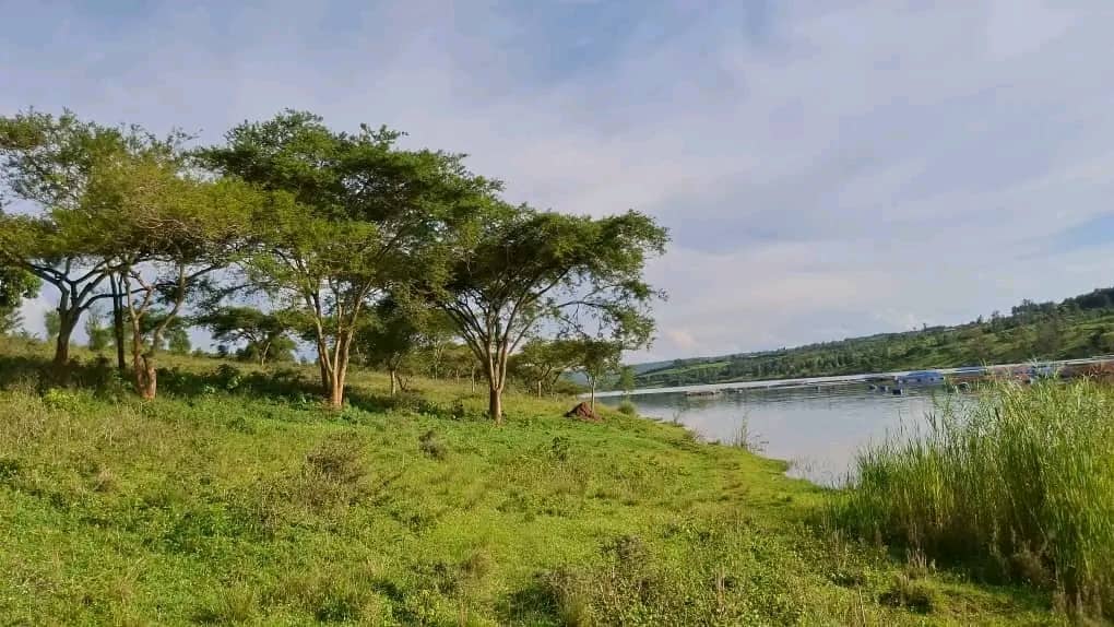Land for Sale on Lake Muhazi, Rwamagana, Kigali - Rwanda - Image 8