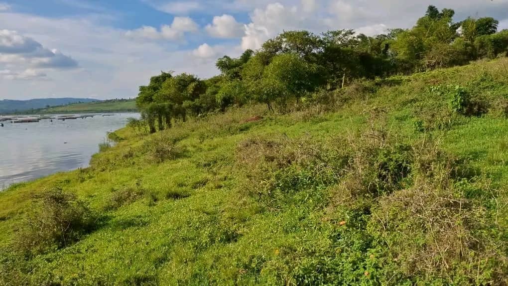 Land for Sale on Lake Muhazi, Rwamagana, Kigali - Rwanda - Image 9
