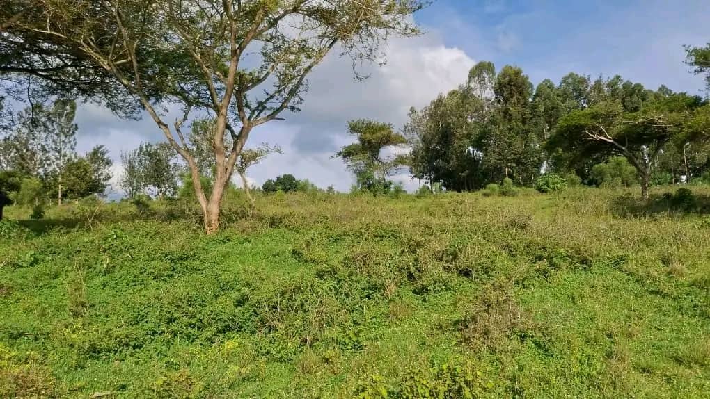 Land for Sale on Lake Muhazi, Rwamagana, Kigali - Rwanda - Image 5