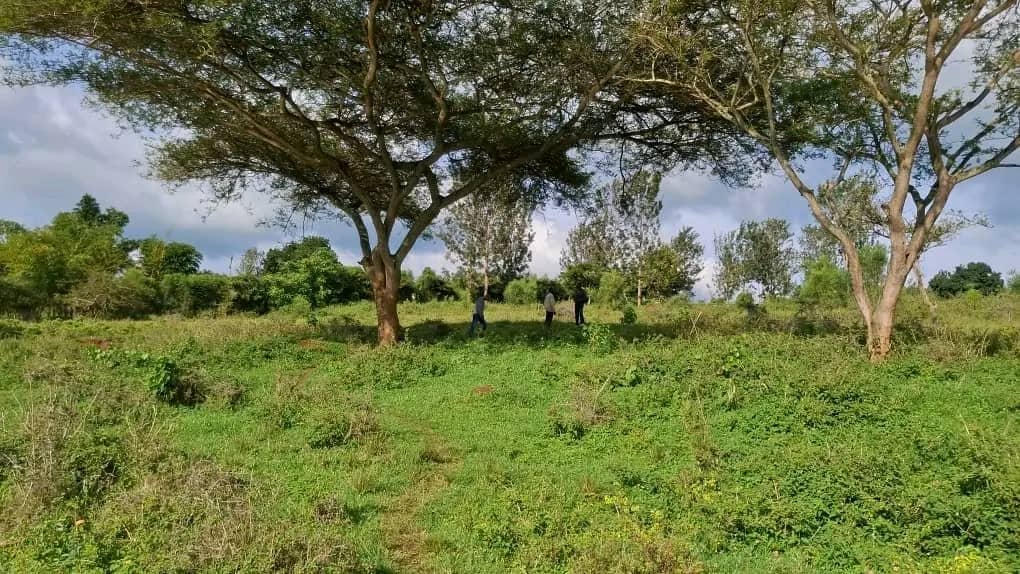 Land for Sale on Lake Muhazi, Rwamagana, Kigali - Rwanda - Image 3