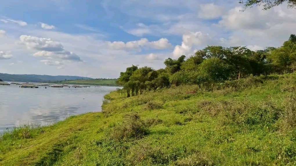 Land for Sale on Lake Muhazi, Rwamagana, Kigali - Rwanda - Image 1
