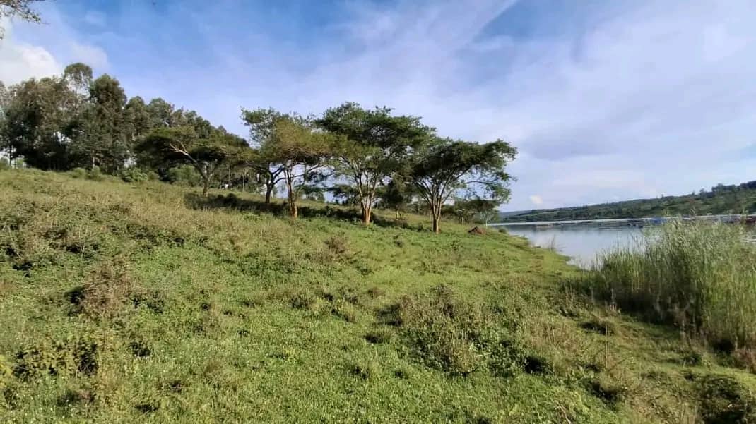 Land for Sale on Lake Muhazi, Rwamagana, Kigali - Rwanda - Image 11