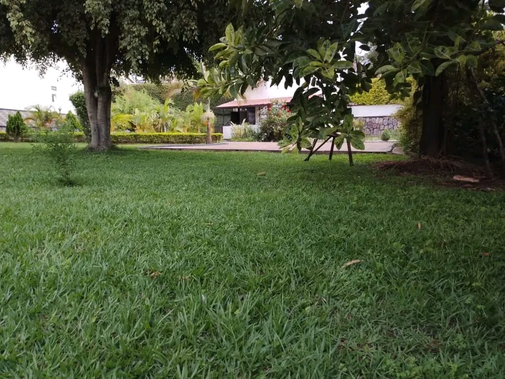 House for Rent in Kibagabaga – Spacious 4-Bedroom Home for $1000/Month - Image 6