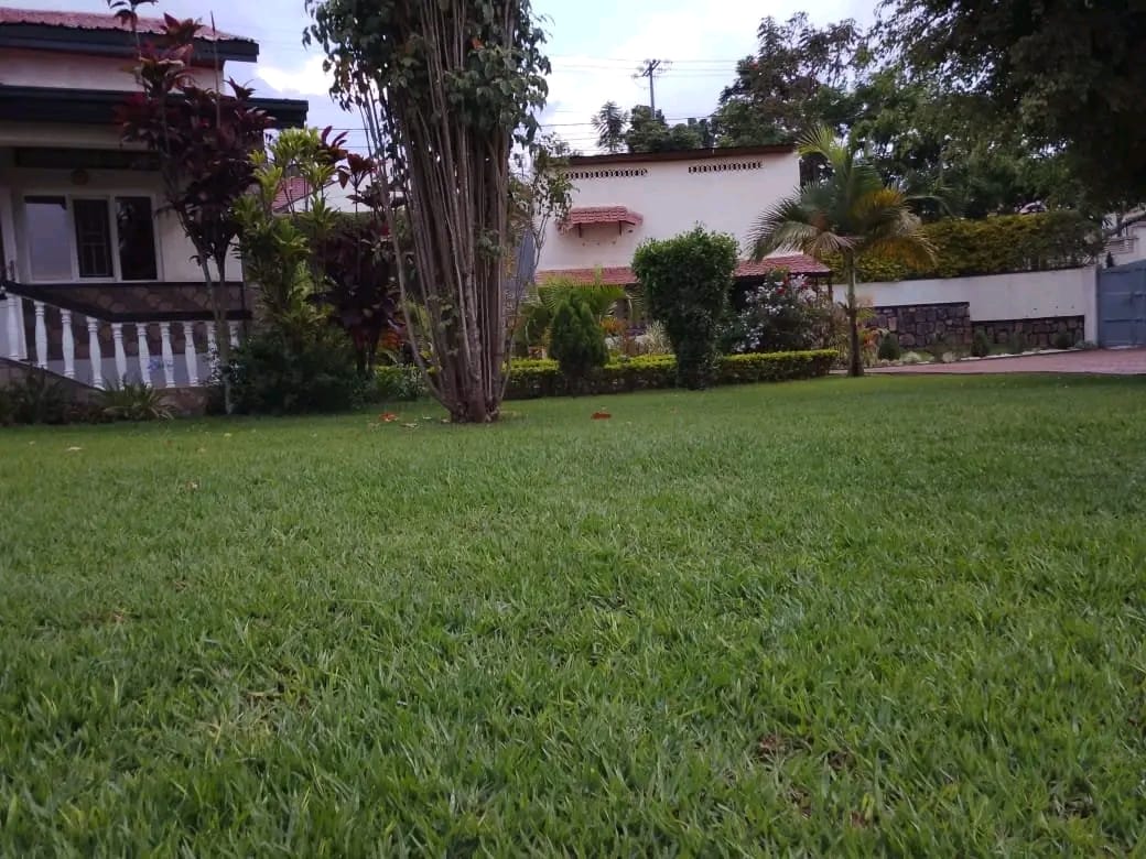 House for Rent in Kibagabaga – Spacious 4-Bedroom Home for $1000/Month - Image 3