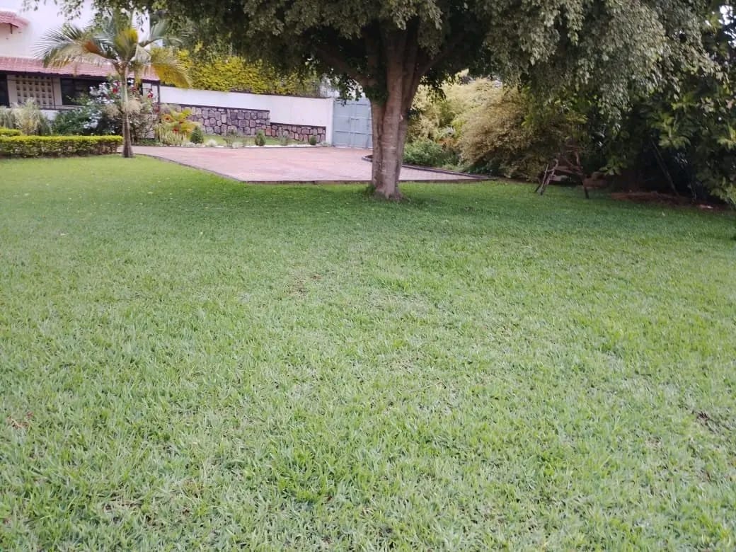 House for Rent in Kibagabaga – Spacious 4-Bedroom Home for $1000/Month - Image 5