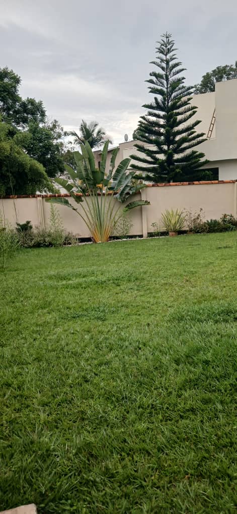 House in Kiyovu for Rent – Modern 3 Bedroom Home with Garden - Image 4