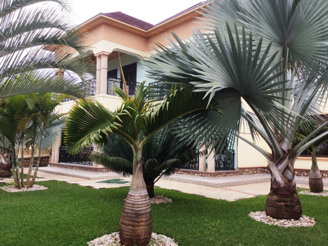 Luxury 6-Bedroom House for Sale in Rebero Kigali Rwanda – House for Sale in Rebero Kigali - Image 3