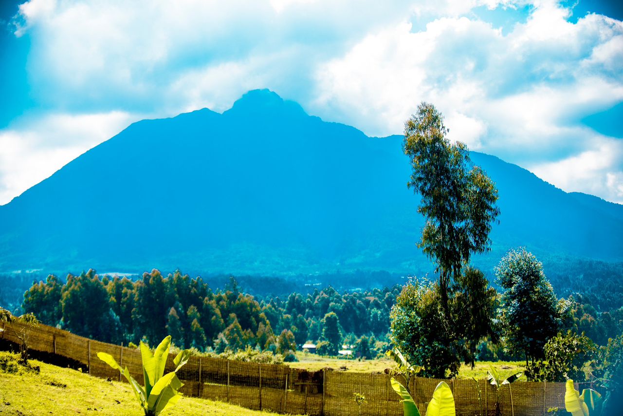 Kinigi Land for sale 7058 sqm