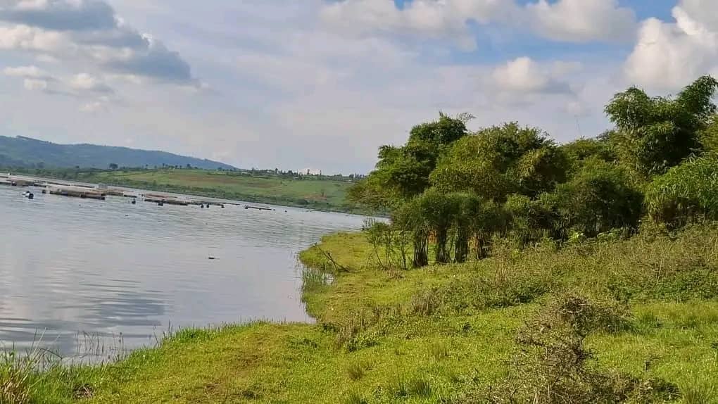 Land for Sale on Lake Muhazi, Rwamagana, Kigali - Rwanda